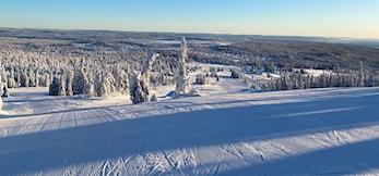 Terminliste med Alpin aktiviteter på Budor 2021